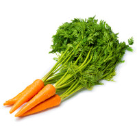 Морковь в пучках