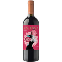 Вино Aristov Anima Ancellotta красное сухое, 750мл