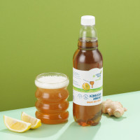 Напиток на чайном грибе Kombucha immuno+ имбирь-мёд-лимон Зелёная Линия, 555мл