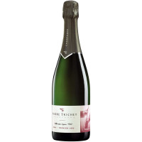 Вино игристое Pierre Trichet l'Authentique Brut 1er Cru Champagne AOC белое сухое 12%, 750мл