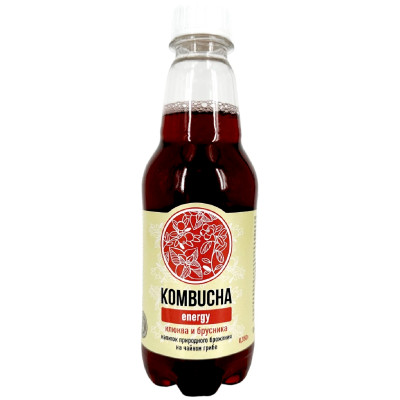 Напиток Absolute Nature Kombucha Energy с клюквой брусникой и свежей мятой безалкогольный, 350мл