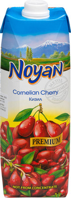Нектар Noyan Premium кизиловый, 1л