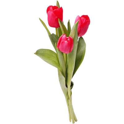 Букет цветов тюльпаны, 3шт