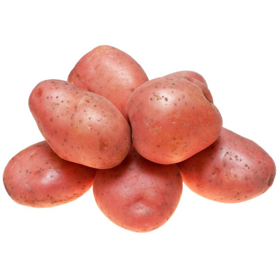 Картофель Пермские Овощи красный мытый