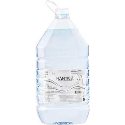 Вода Hantica природная питьевая артезианская негазированная высшей категории, 5л