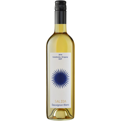Вино Salida Sauvignon Blanc белое сухое 12.5%, 750мл