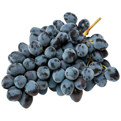 Виноград чёрный