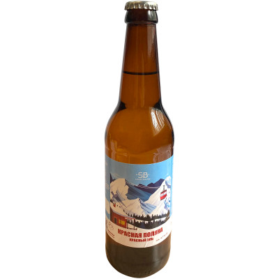 Пиво Красная Поляна Эль тёмное пастеризованное фильтрованное 4,7%, 450мл