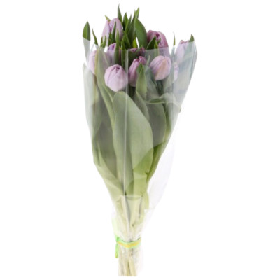 Букет цветов тюльпаны Премиум, 5шт