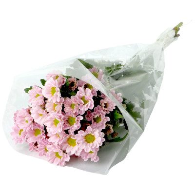 Букет цветов хризантема Сантини в ассортименте, 3шт