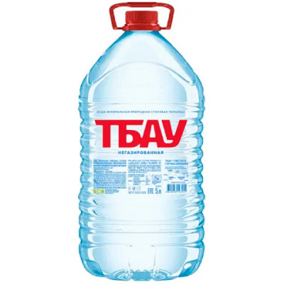 Вода минеральная Бавария Тбау природная питьевая столовая негазированная, 5л
