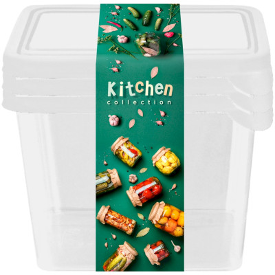 Набор контейнеров Plast Team Kitchen Collection Frozen для заморозки, 3х0,75л