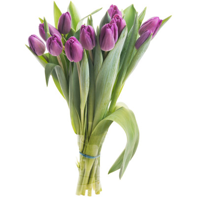 Букет цветов тюльпаны Премиум, 11шт