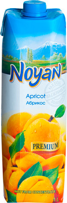  Noyan