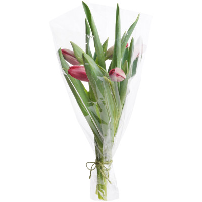 Букет цветов тюльпаны в ассортименте, 5шт
