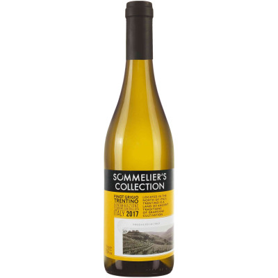 Вино Sommelier's Collection Pinot Grigio Trentino белое сухое 12.5%, 750мл