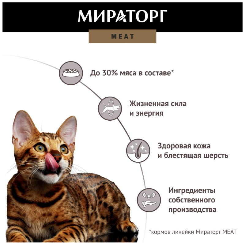 Сухой корм Мираторг Meat с сочным ягнёнком для кошек, 300г — фото 2