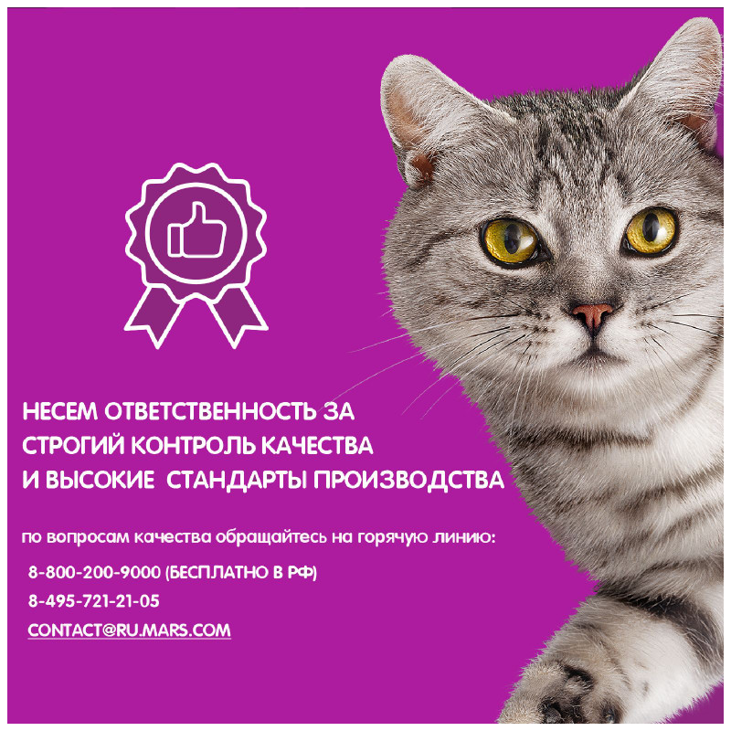 Сухой корм Whiskas для взрослых кошек Подушечки с паштетом Обед с лососем, 350г — фото 3