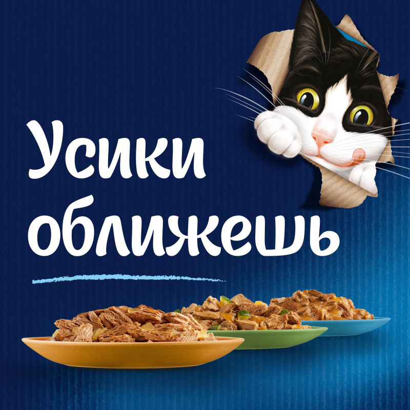 Влажный корм для кошек Felix Аппетитные кусочки с ягненком в желе, 75г — фото 6