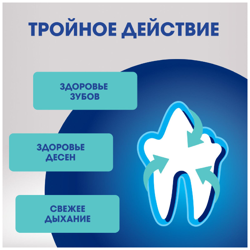 Лакомство Perfect Fit Oral Care для здоровья зубов и полости рта с говядиной и добавлением мяты для собак средних и крупных пород, 130г — фото 3