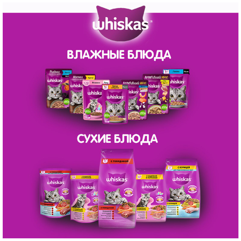 Сухой корм Whiskas для котят подушечки с молочной начинкой с индейкой и морковью, 350г — фото 5