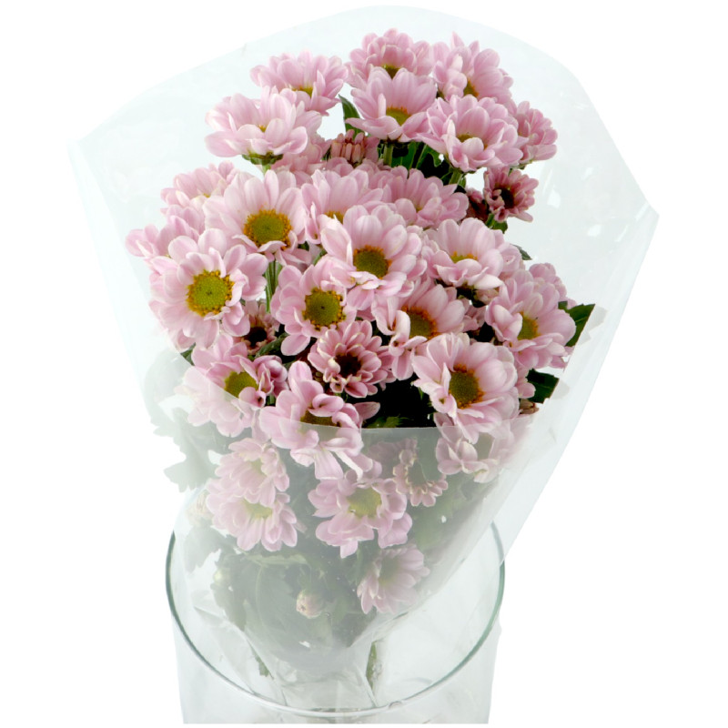 Букет цветов хризантема Сантини в ассортименте, 3шт — фото 2