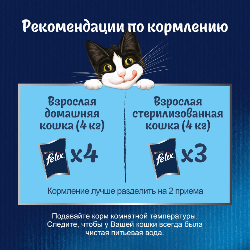 Влажный корм для кошек Felix Двойная вкуснятина с лососем и форелью в желе, 75г — фото 4