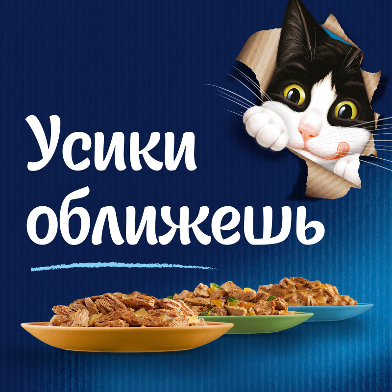 Влажный корм для кошек Felix Мясные ломтики с говядиной в соусе, 75г — фото 6