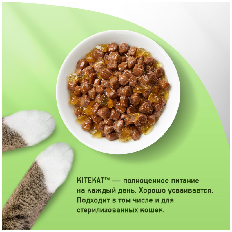 Влажный корм Kitekat для взрослых кошек со вкусом говядины в желе Сочная говядина, 85г — фото 2
