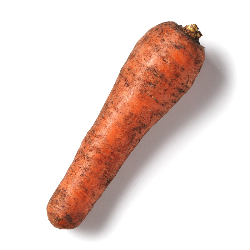 Морковь отечественная — фото 1