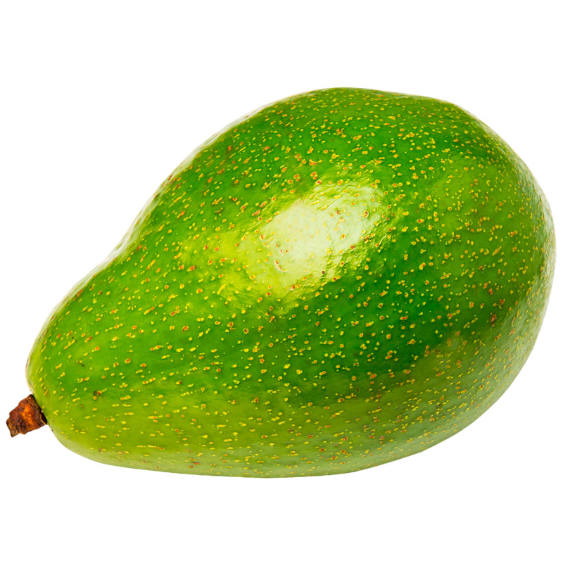 Авокадо гигантское, 1шт — фото 1