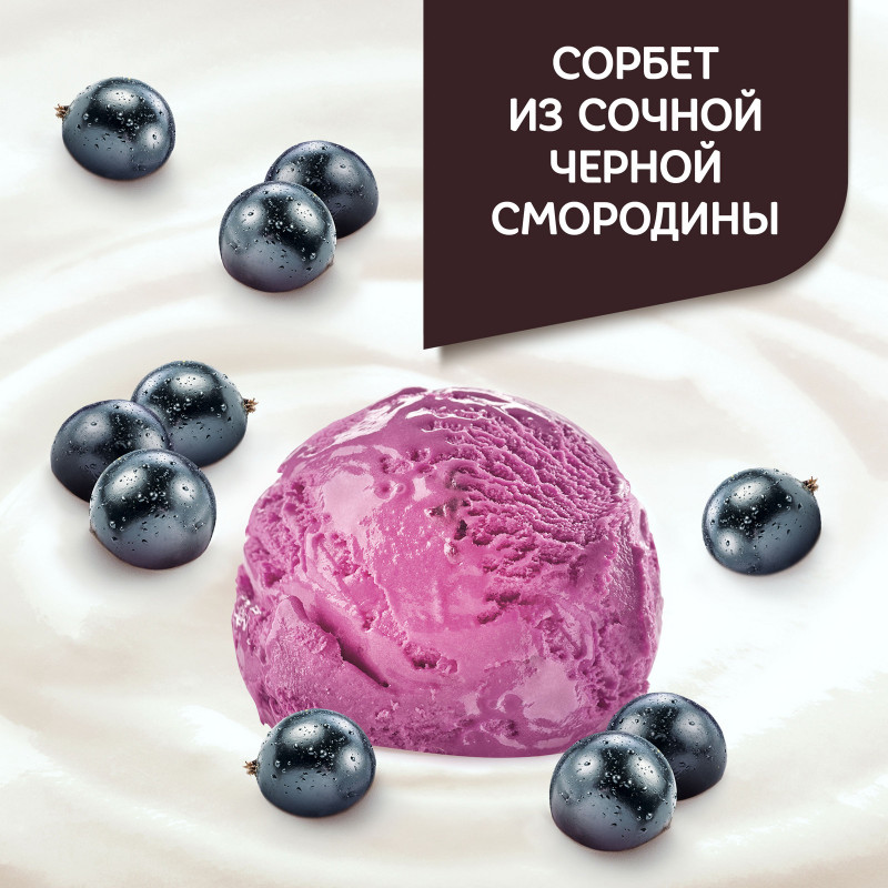 Коктейль кисломолочный Даниссимо йогуртный со вкусом сорбета из черной смородины 2.7%, 190мл — фото 3