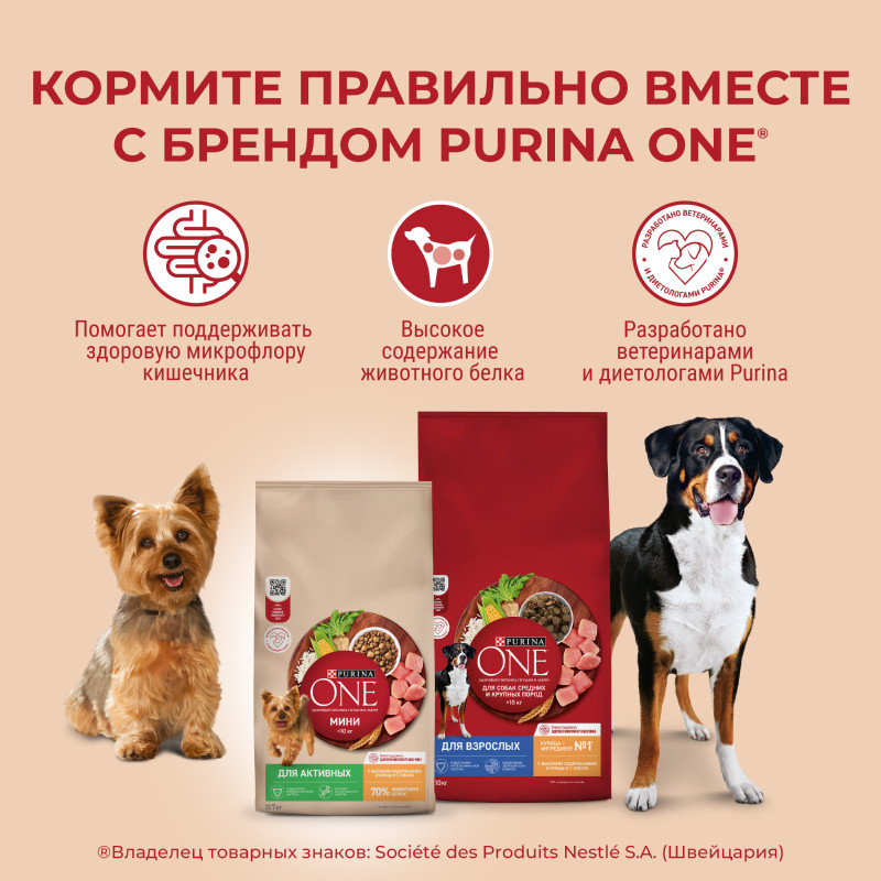 Сухой корм Purina One для собак мелких пород, склонных к набору веса с индейкой и рисом, 1.5кг — фото 5