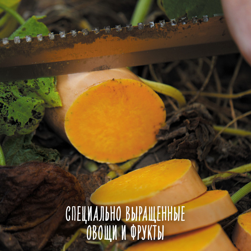 Пюре Gerber Organic тыква и сладкий картофель с 5 месяцев, 125г — фото 9