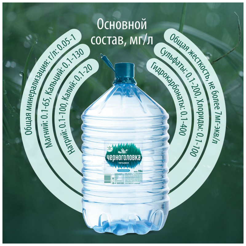 Вода Черноголовская питьевая негазированная, 19л — фото 4