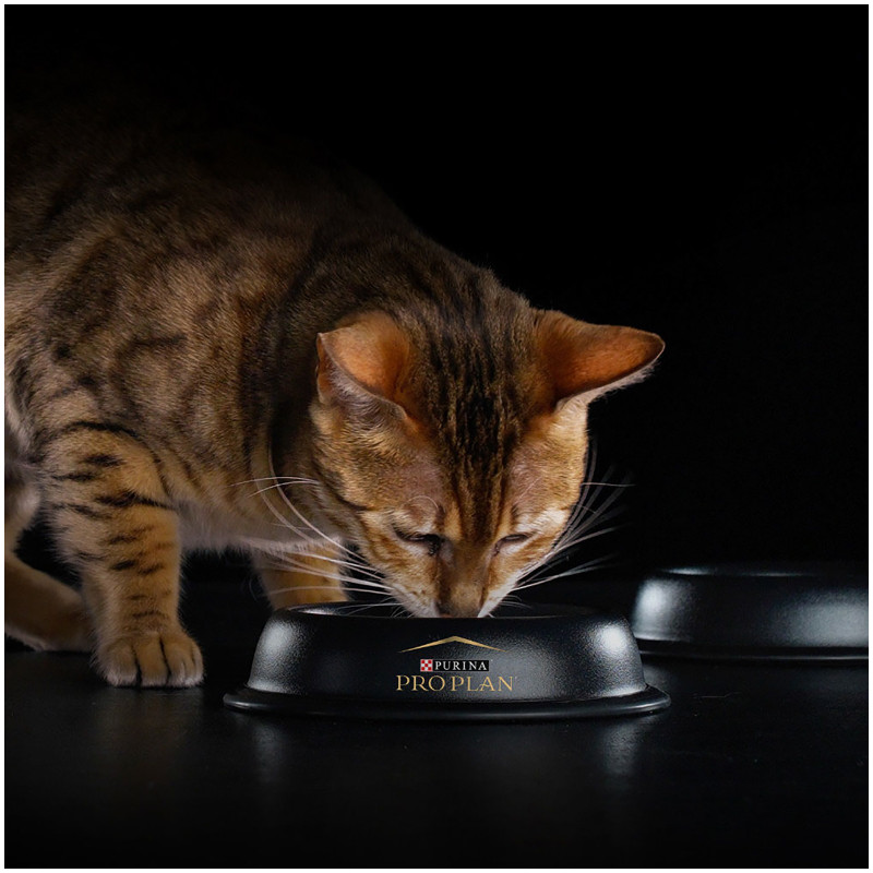 Консервы Pro Plan Nutrisavour Delicate с индейкой и ягненком для кошек, 10х85г — фото 4