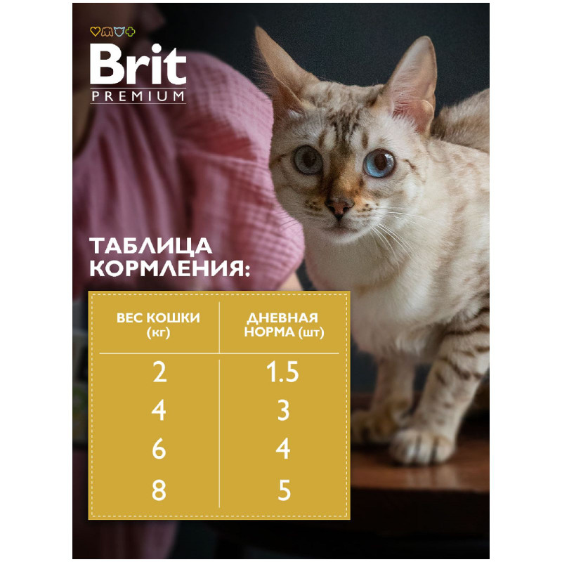 Корм Brit Premium лосось и форель в соусе для взрослых кошек, 85г — фото 5