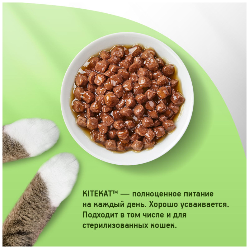 Влажный корм Kitekat для взрослых кошек со вкусом ягнёнка в соусе Лакомый ягнёнок, 85г — фото 2