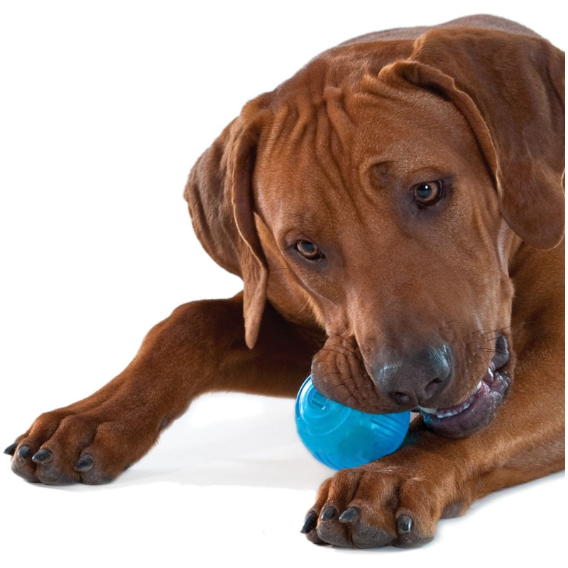 Игрушка для собак Petstages Орка-тенисный мяч — фото 1