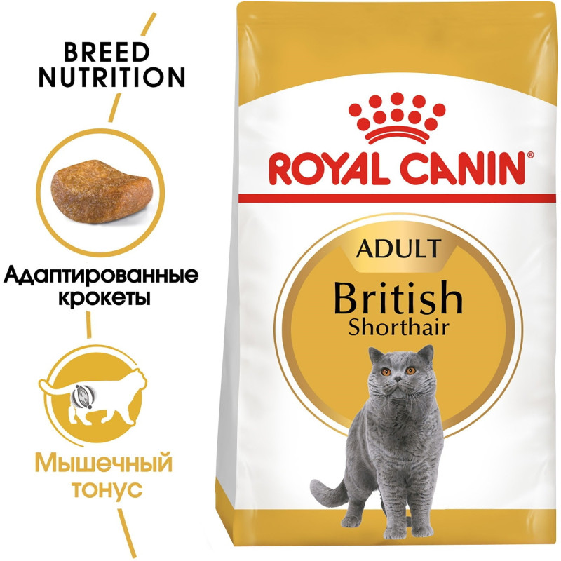 Сухой корм Royal Canin British Shorthair с птицей для кошек породы Британская короткошёрстная, 400г — фото 1
