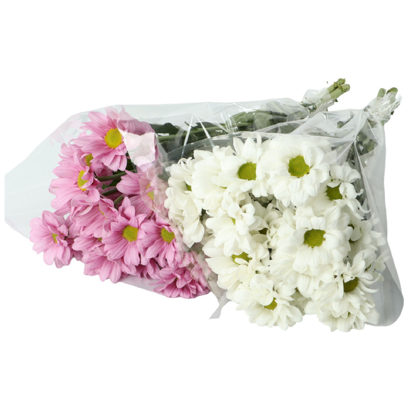 Цветы Русбукет Хризантема кустовая микс — фото 1