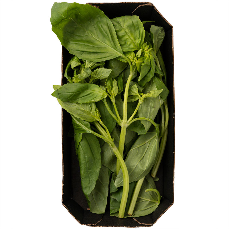 Базилик зеленый упаковка Маркет Fresh, 50г — фото 2