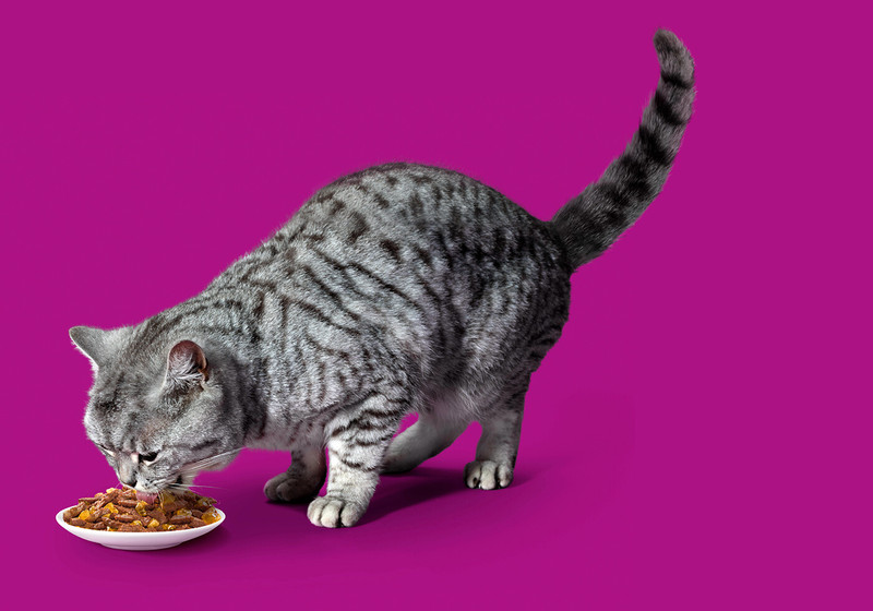 Корм Whiskas Мини-филе с говядиной для кошек, 85г — фото 3
