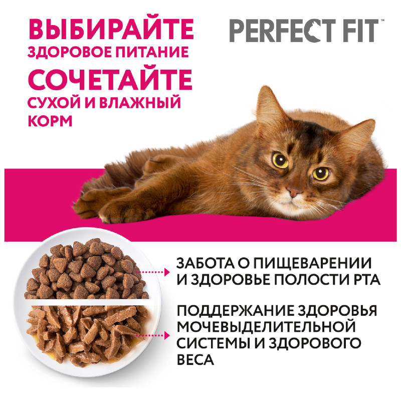 Влажный корм Perfect Fit для поддержания здоровья почек с лососем в соусе, 75г — фото 5