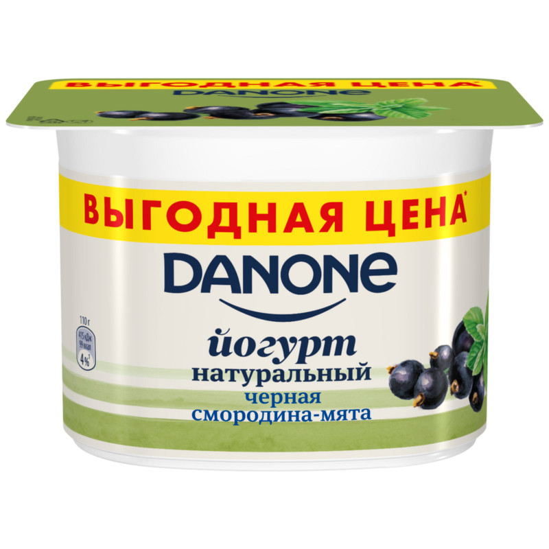 Йогурт Danone с чёрной смородиной и экстрактом мяты 2.9%, 110г