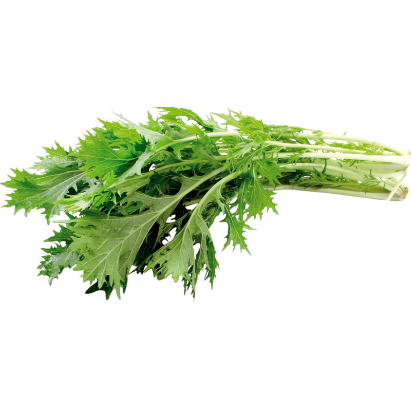 Салат Мизуна листовой зеленый упаковка, 125г