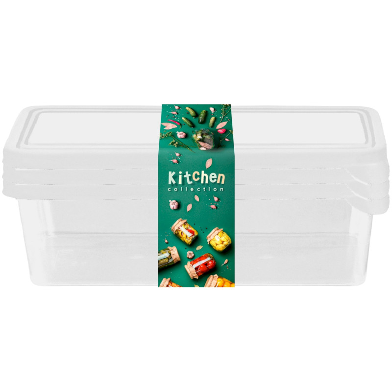 Набор контейнеров Plast Team Kitchen Collection Frozen для заморозки, 3х1,35л