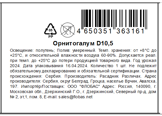 Орнитогалум, 10.5см — фото 1