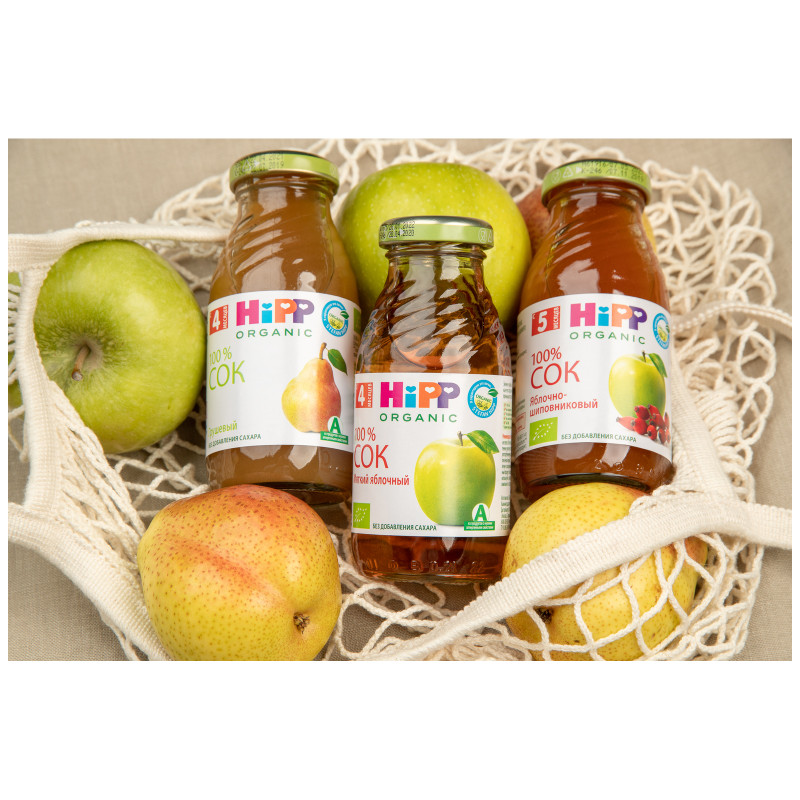 Сок HiPP яблочно-шиповниковый Bio Juice 6 месяцев+, 200мл — фото 3