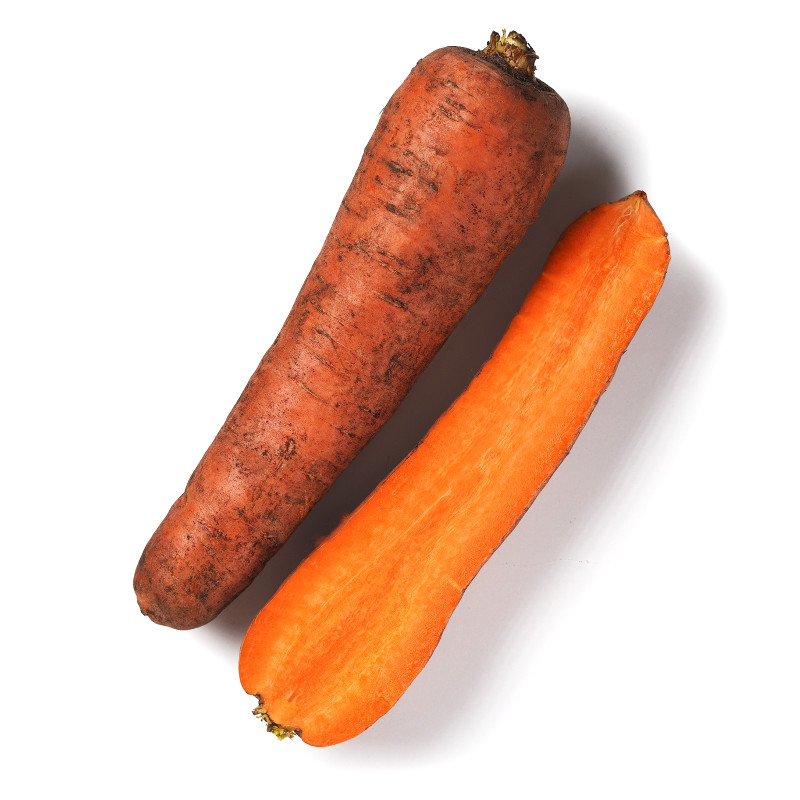 Морковь отечественная